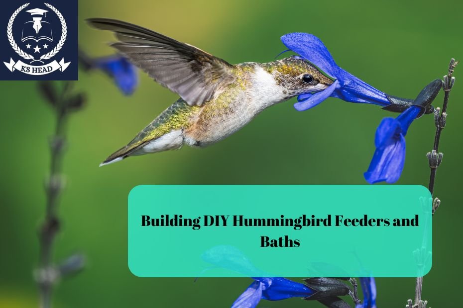 Building DIY Hummingbird Feeders and Baths