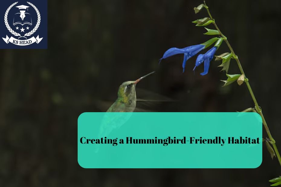 Creating a Hummingbird-Friendly Habitat