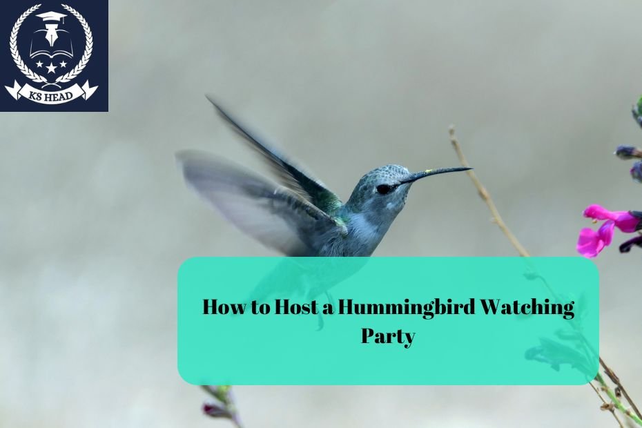 How to Host a Hummingbird Watching Party