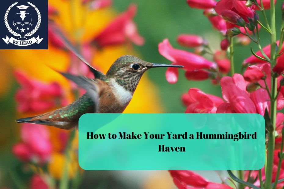 How to Make Your Yard a Hummingbird Haven