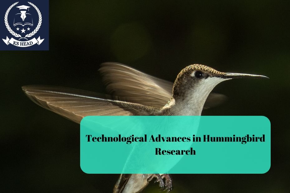 Technological Advances in Hummingbird Research