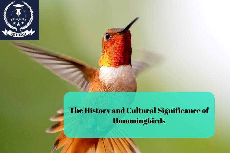 The History and Cultural Significance of Hummingbirds