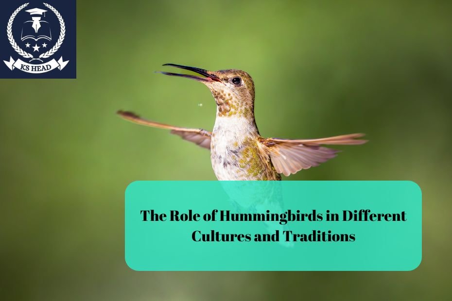 The Role of Hummingbirds in Different Cultures and Traditions